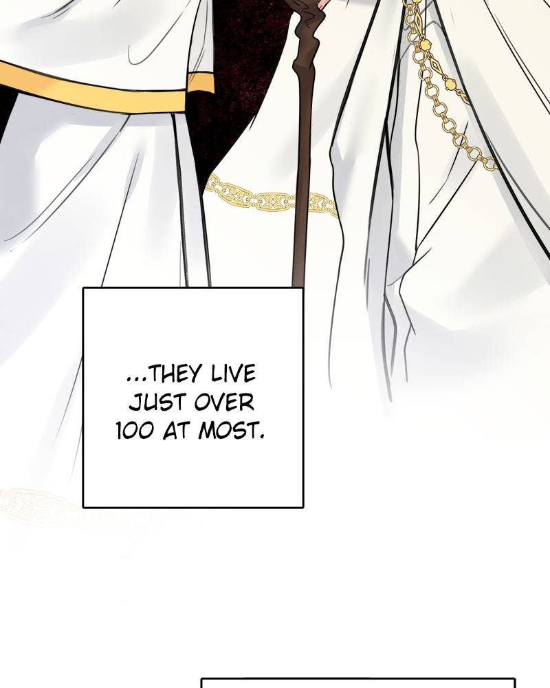 The Newlywed Life of a Witch and a Dragon chapter 78 - page 44