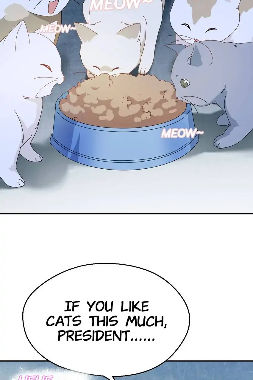The Trap of True Love Chapter 21 - page 23