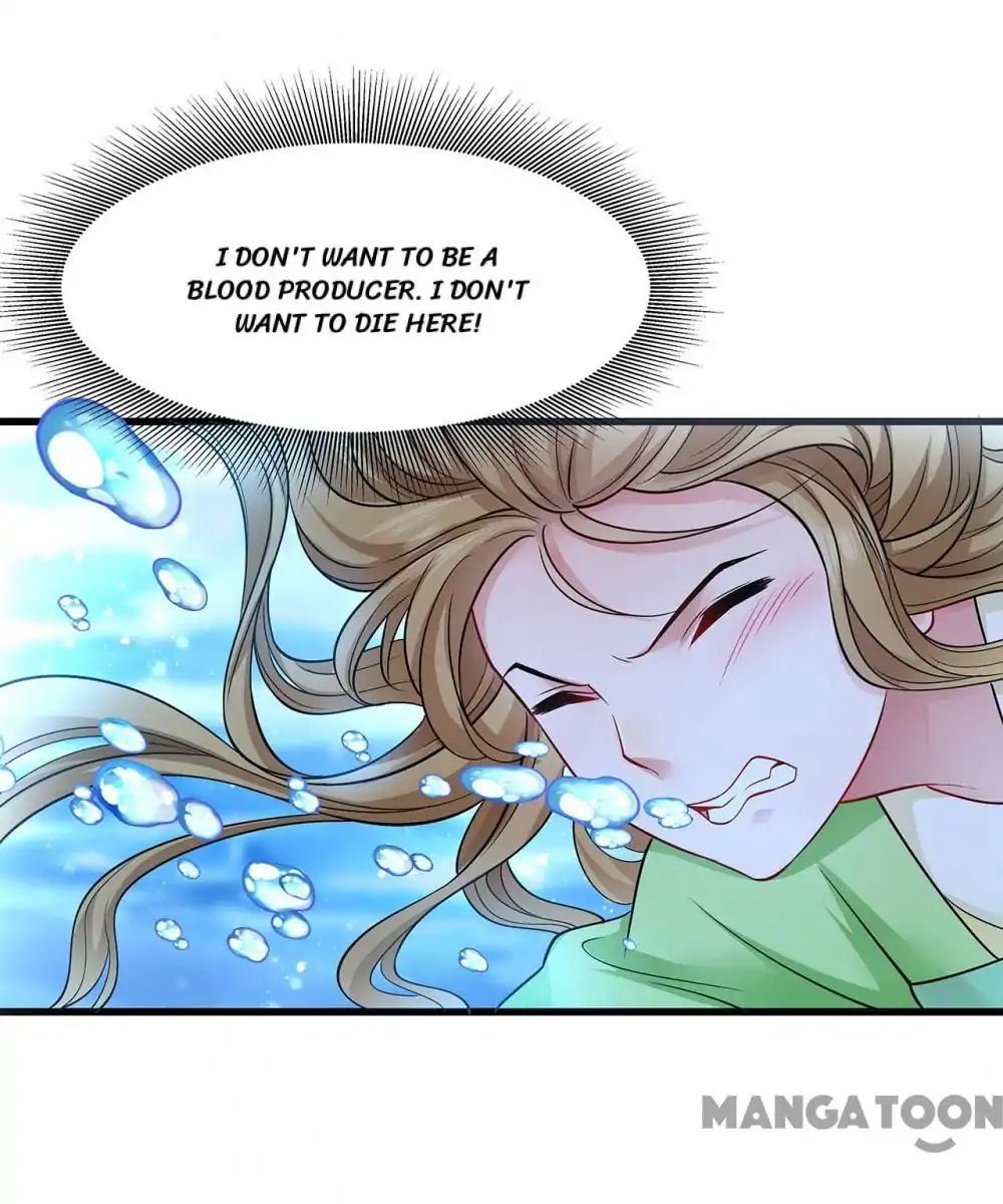 Little Black Book vs Blue Blood Chapter 88 - page 12