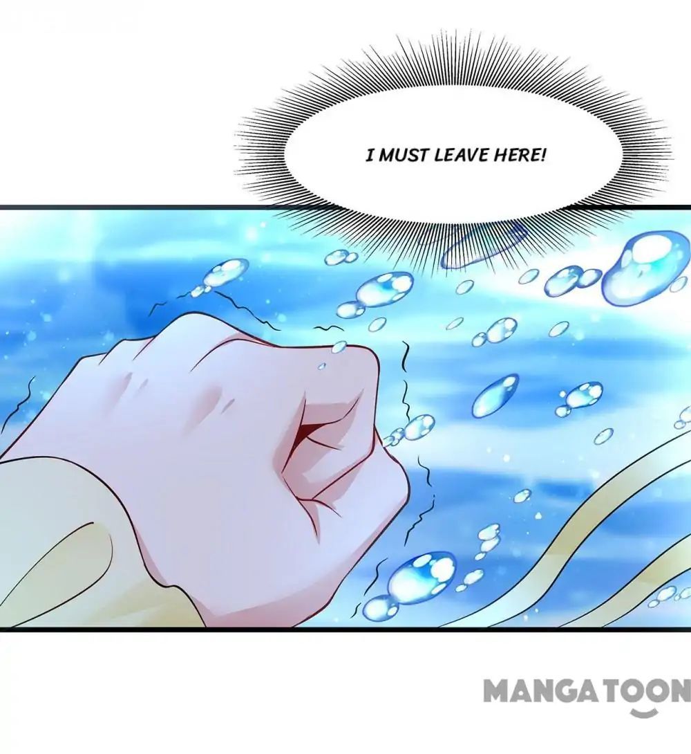 Little Black Book vs Blue Blood Chapter 88 - page 13