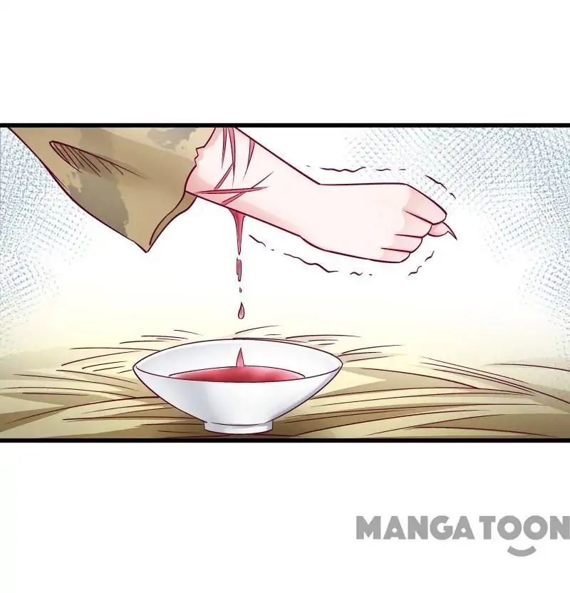 Little Black Book vs Blue Blood Chapter 81 - page 11