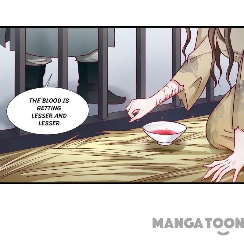 Little Black Book vs Blue Blood Chapter 81 - page 13