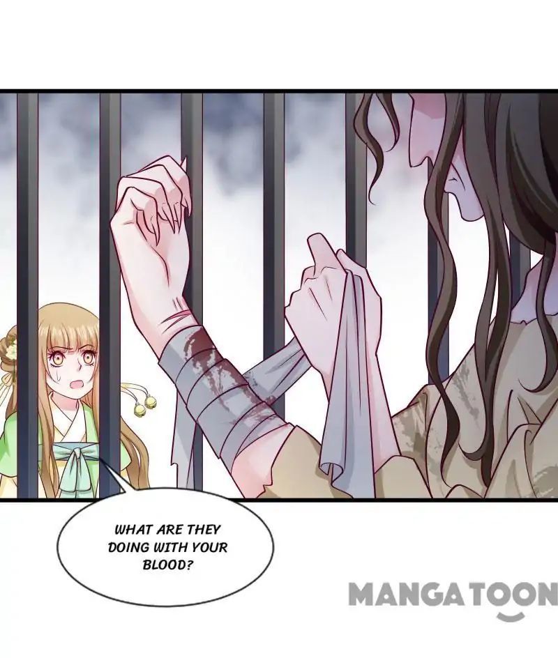 Little Black Book vs Blue Blood Chapter 81 - page 15