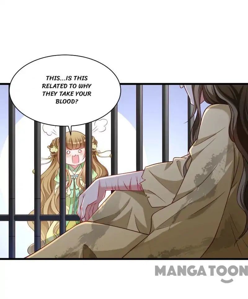 Little Black Book vs Blue Blood Chapter 81 - page 23