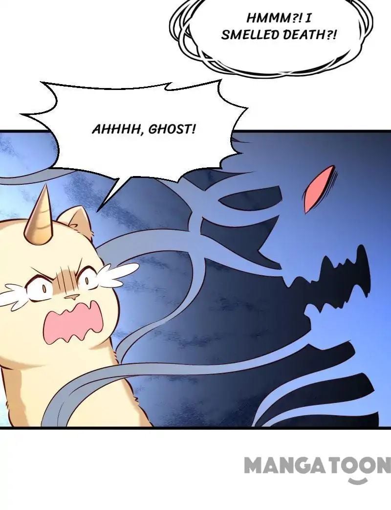 Little Black Book vs Blue Blood Chapter 53 - page 27