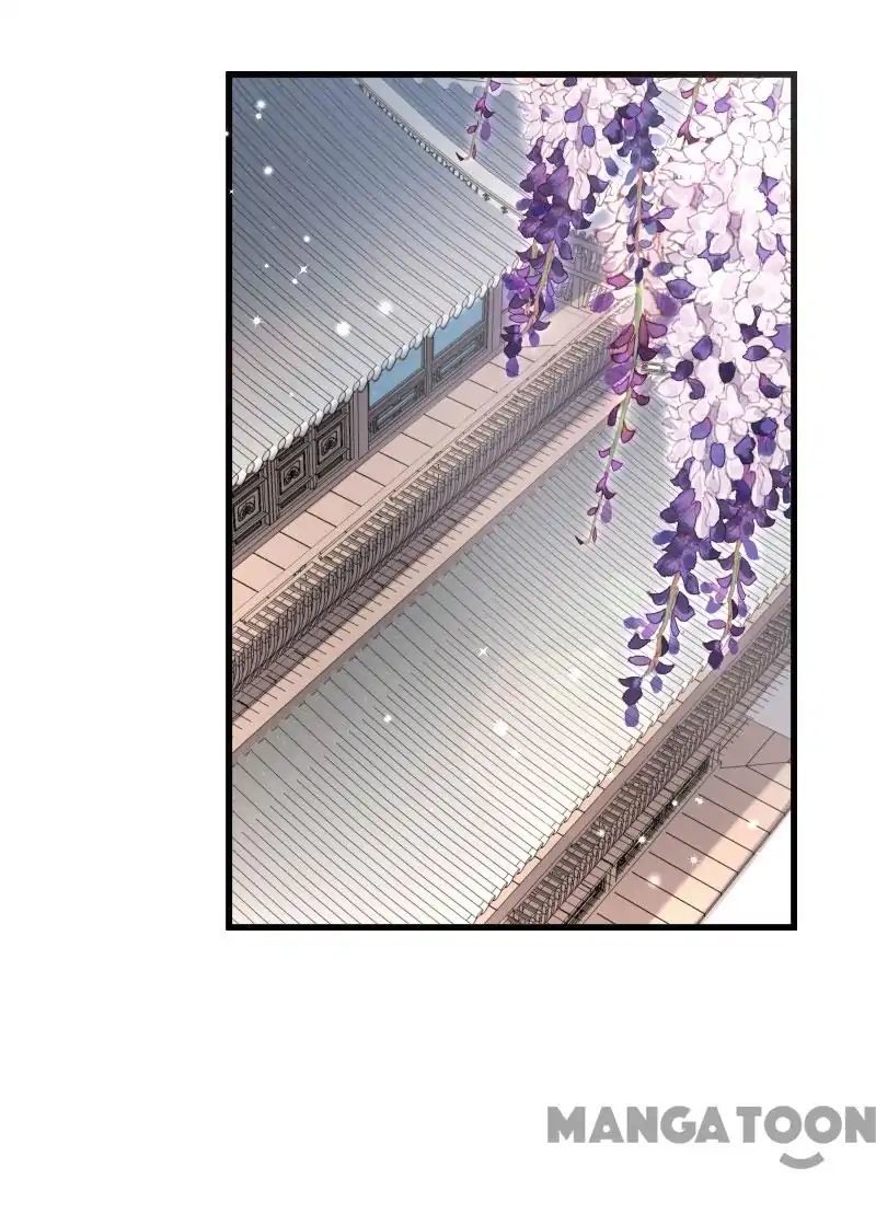Little Black Book vs Blue Blood Chapter 37 - page 6
