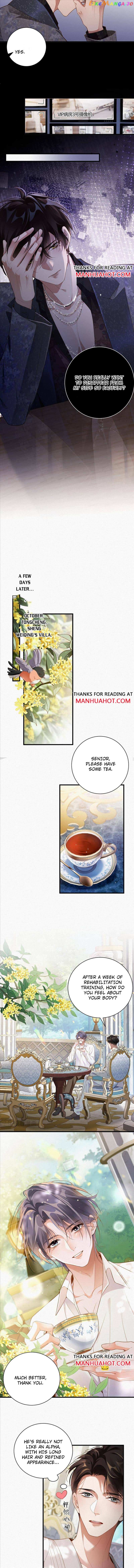 Ex-Husband Wants To Marry Again chapter 24 - page 5