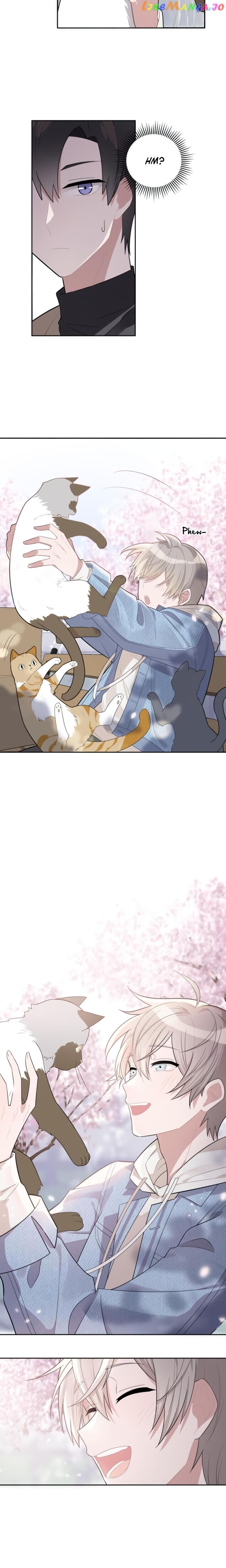 Sweet Little Love Story chapter 1 - page 18