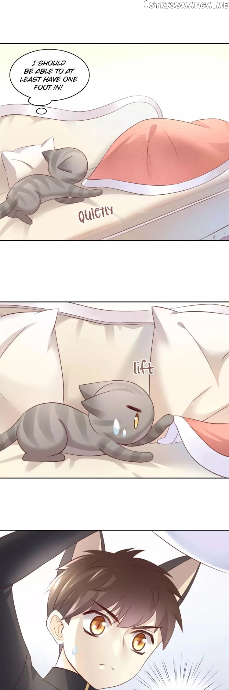 Under The Paws of Cats chapter 32 - page 6