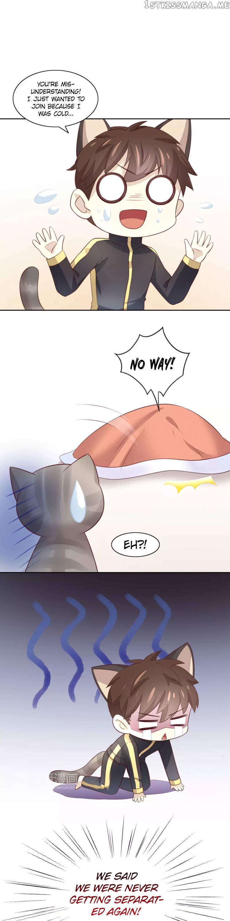 Under The Paws of Cats chapter 32 - page 8