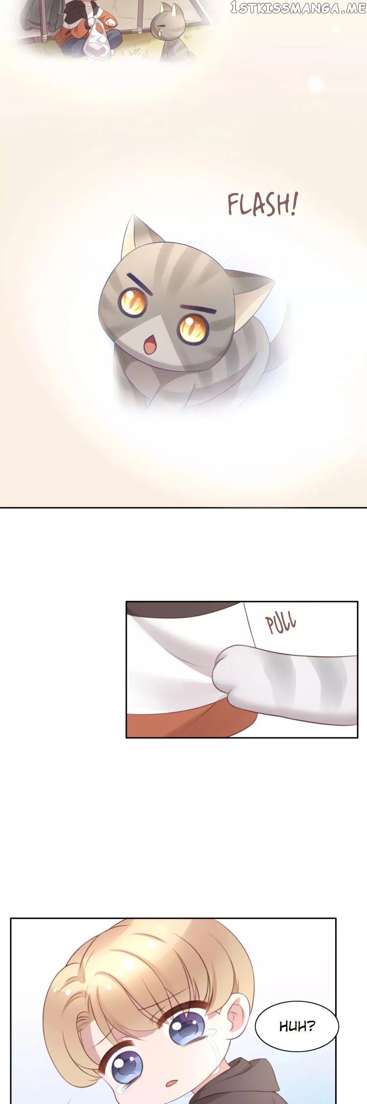 Under The Paws of Cats chapter 31 - page 16