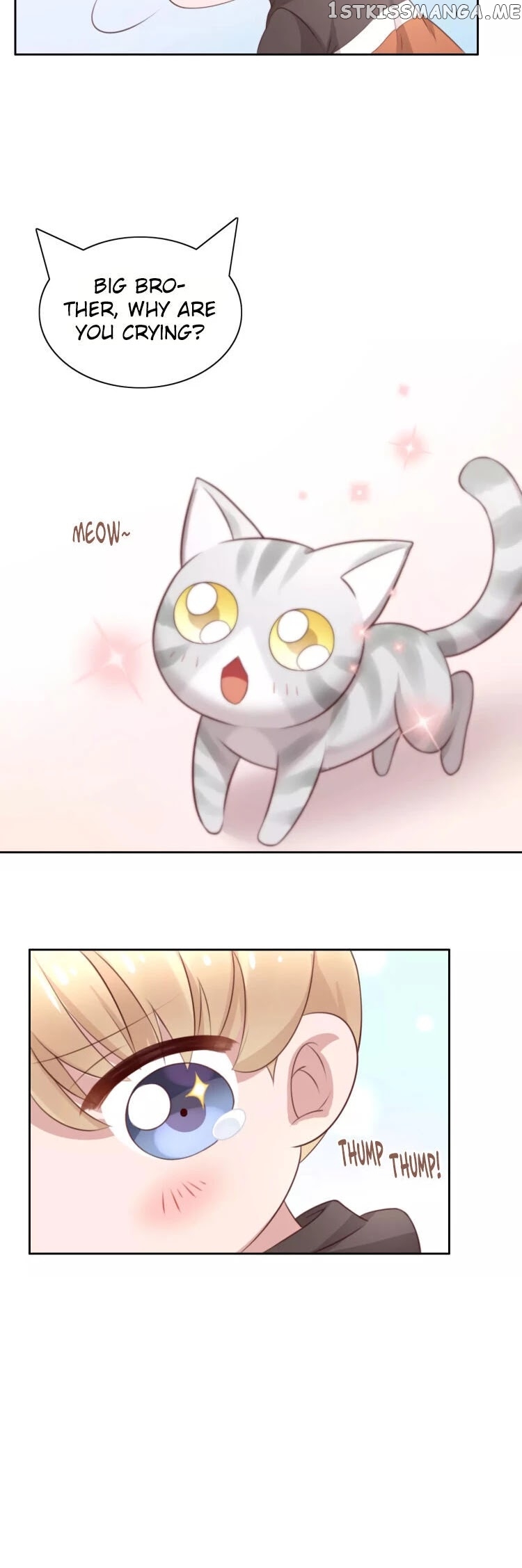 Under The Paws of Cats chapter 31 - page 17
