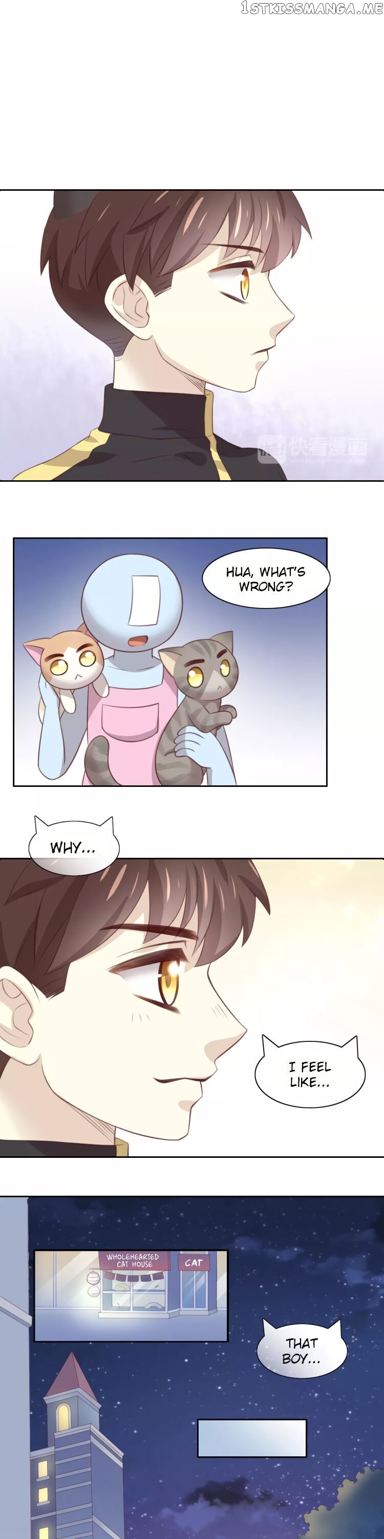 Under The Paws of Cats chapter 31 - page 18