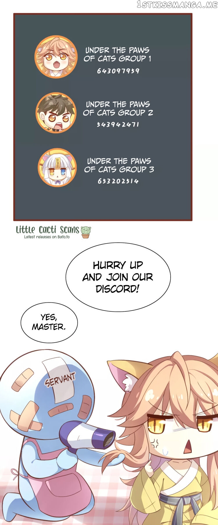 Under The Paws of Cats chapter 31 - page 21