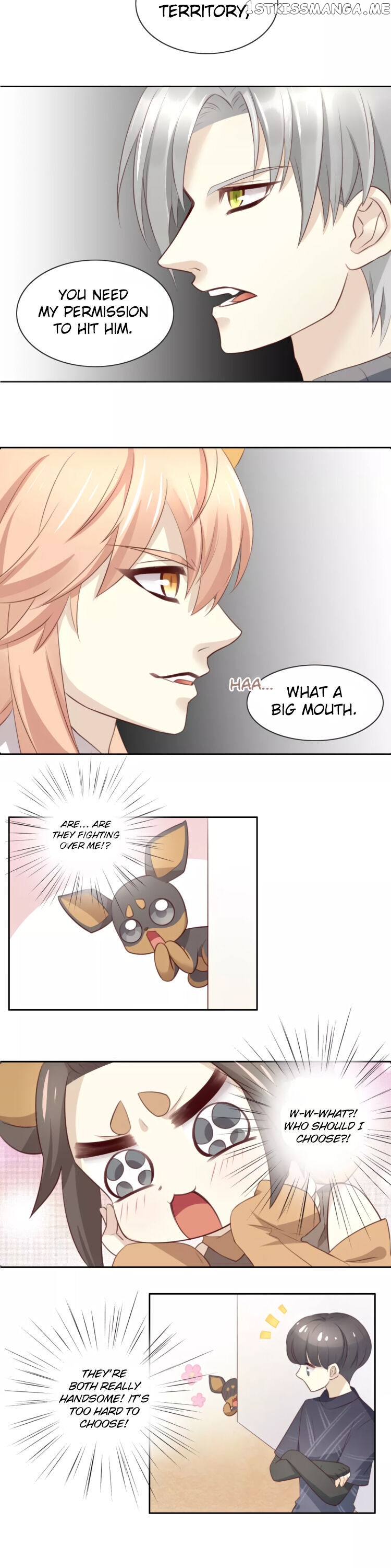 Under The Paws of Cats chapter 31 - page 3