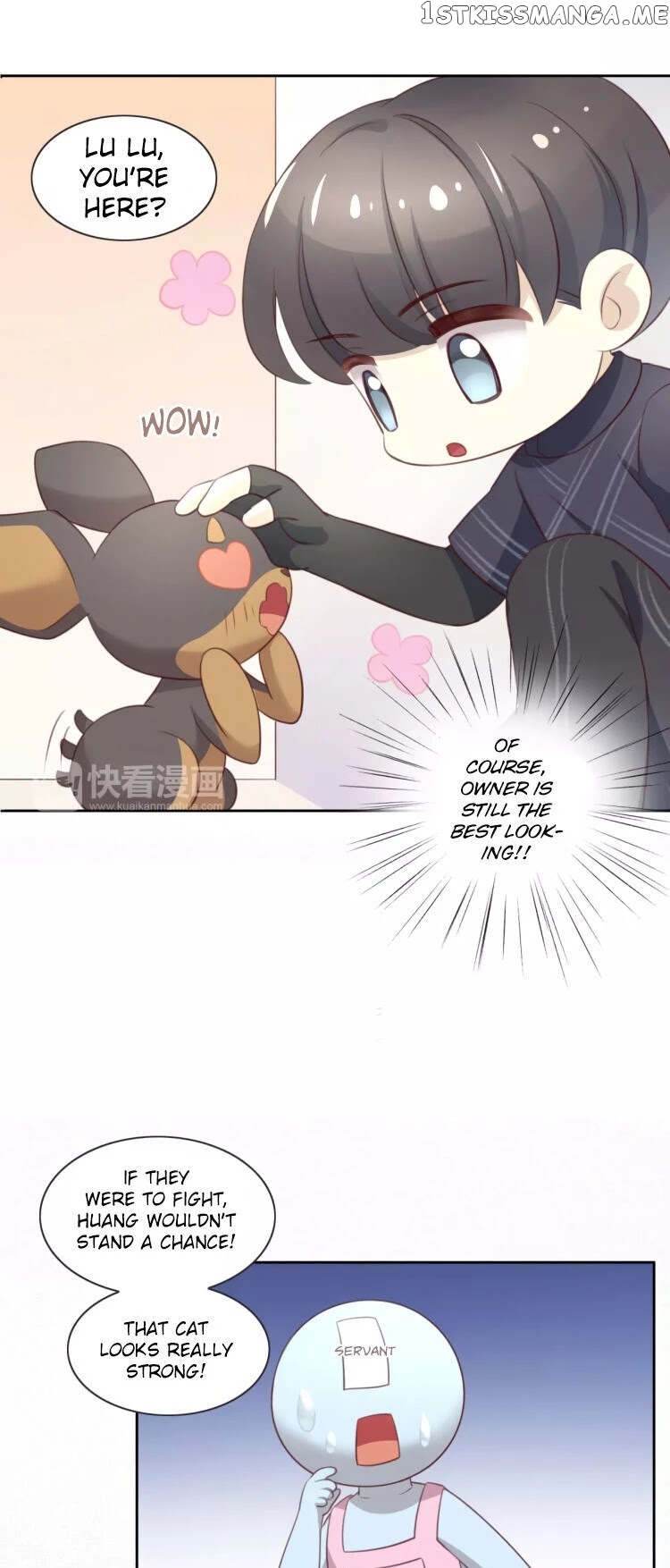 Under The Paws of Cats chapter 31 - page 4