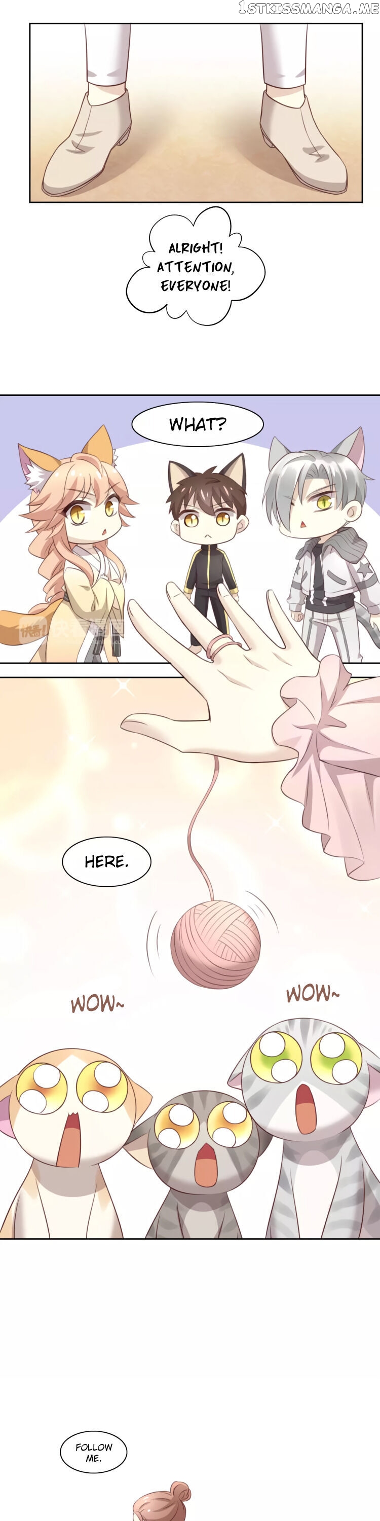 Under The Paws of Cats chapter 31 - page 9