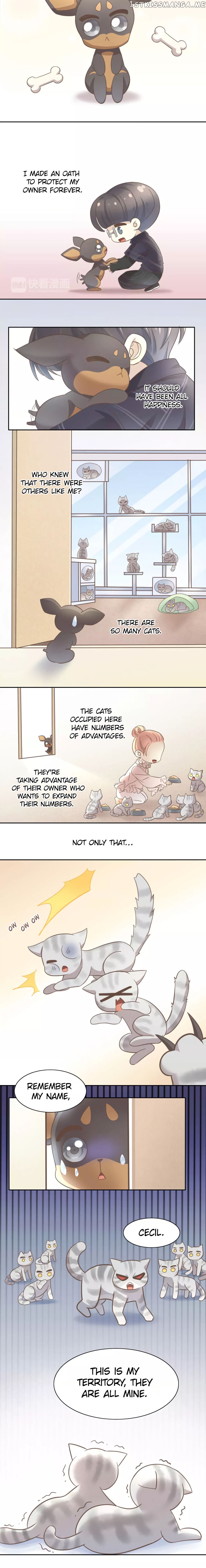Under The Paws of Cats Chapter 28 - page 3