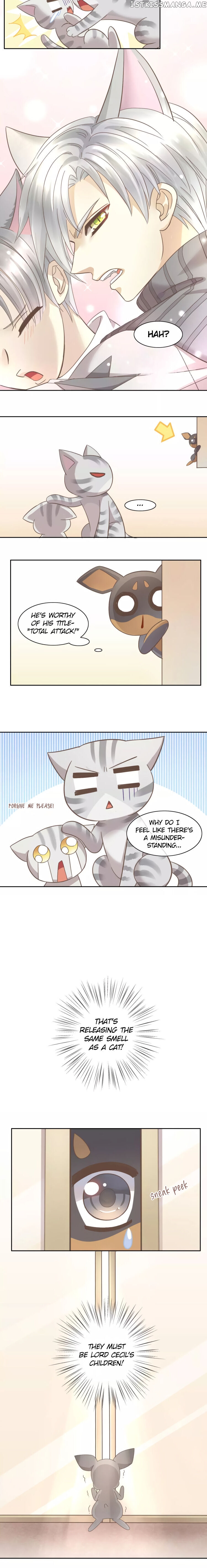 Under The Paws of Cats Chapter 28 - page 5