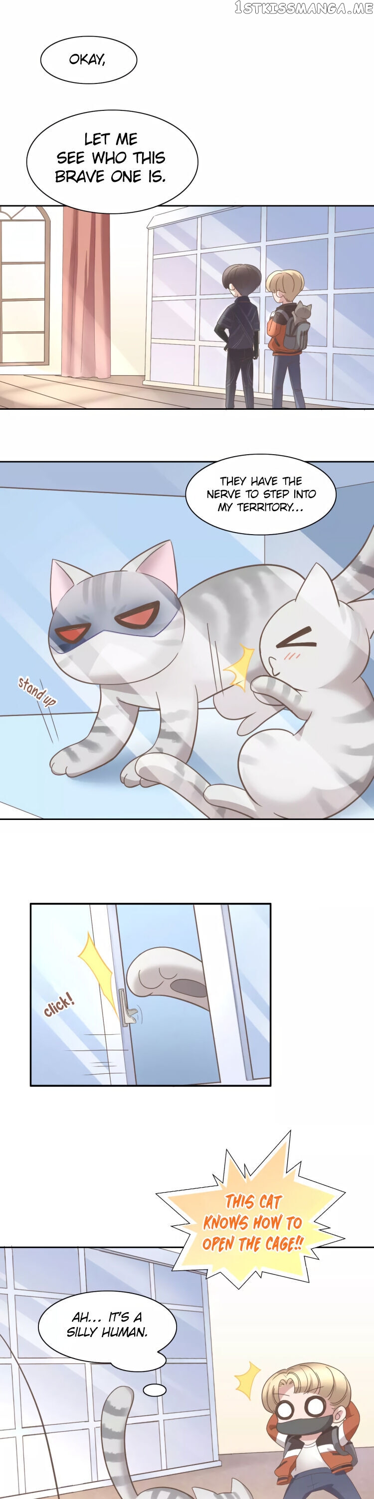 Under The Paws of Cats Chapter 28 - page 6