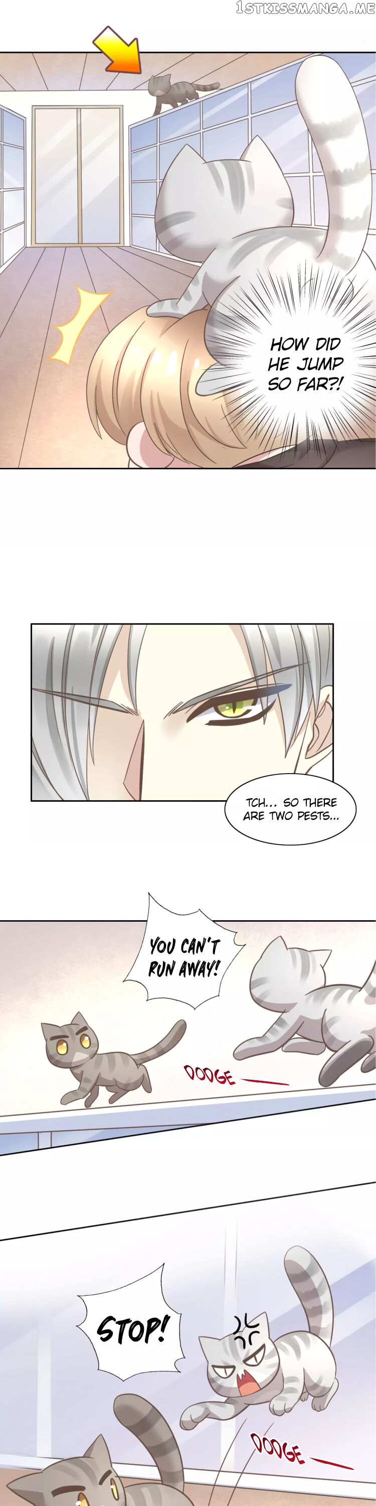 Under The Paws of Cats Chapter 28 - page 8