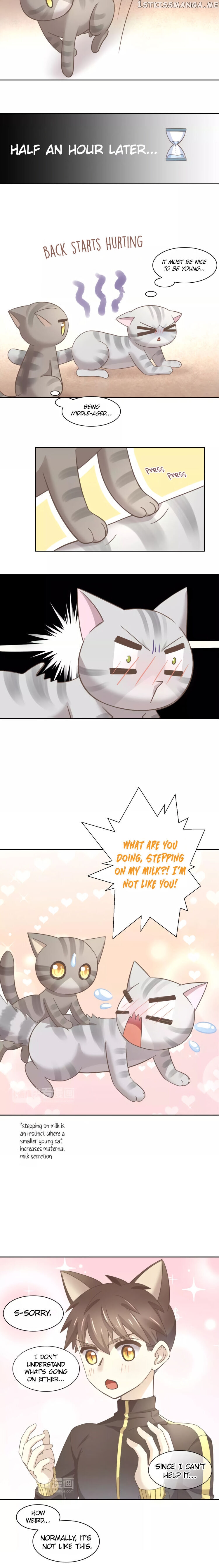 Under The Paws of Cats Chapter 28 - page 9