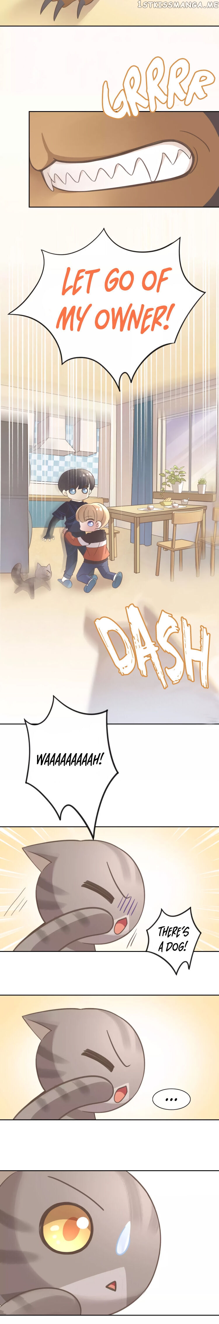 Under The Paws of Cats chapter 25 - page 3
