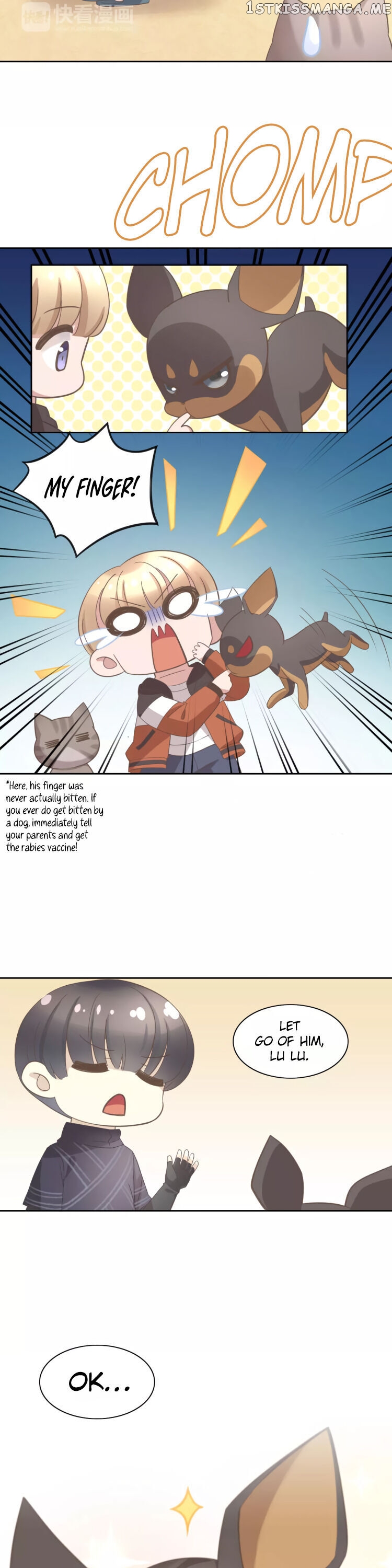 Under The Paws of Cats chapter 25 - page 5