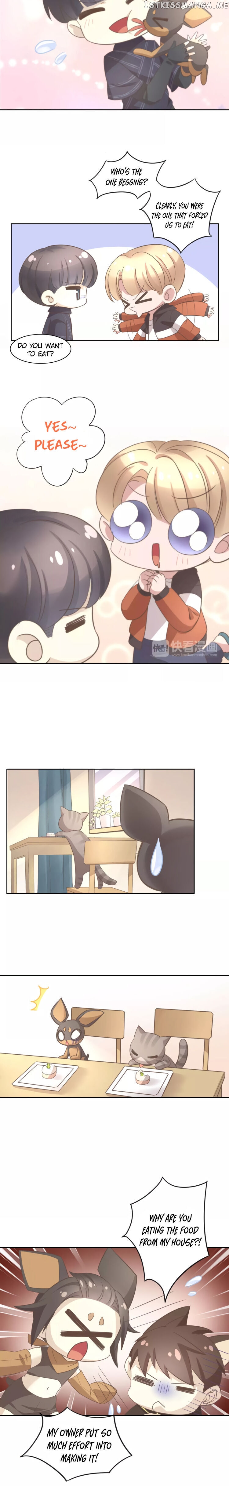 Under The Paws of Cats chapter 25 - page 8