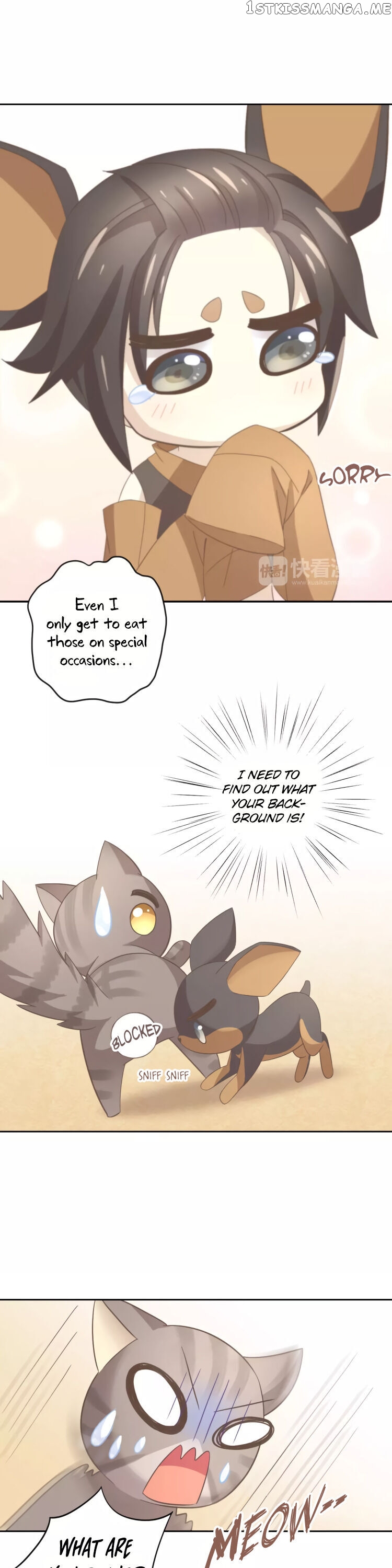 Under The Paws of Cats chapter 25 - page 9