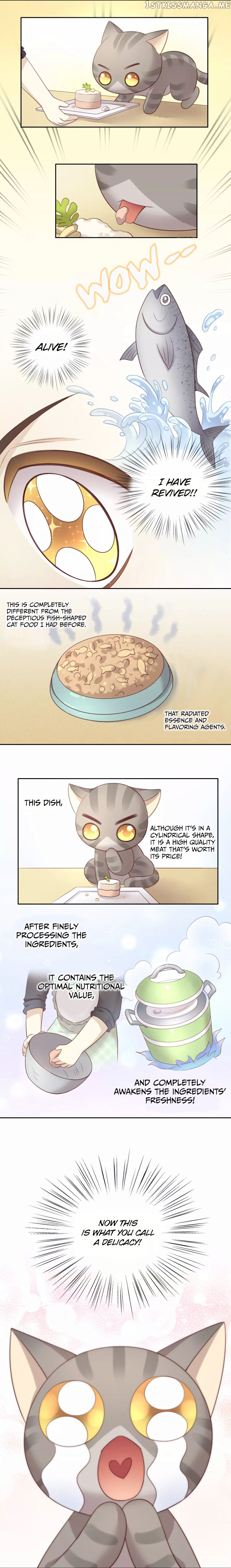 Under The Paws of Cats chapter 24 - page 7