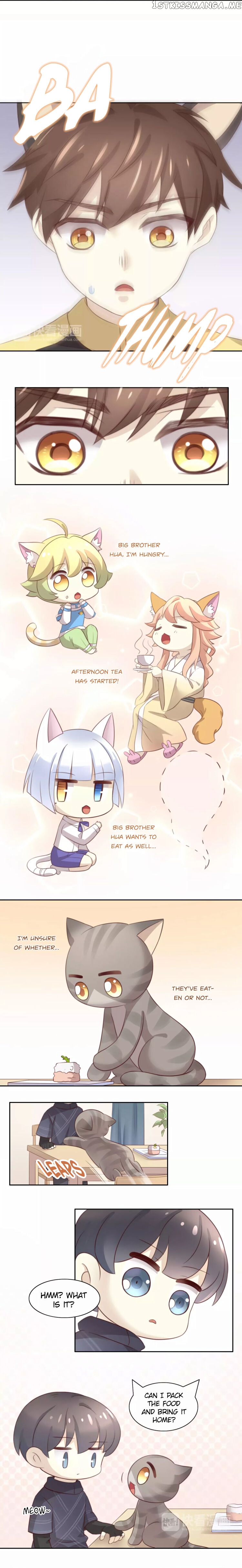 Under The Paws of Cats chapter 24 - page 8