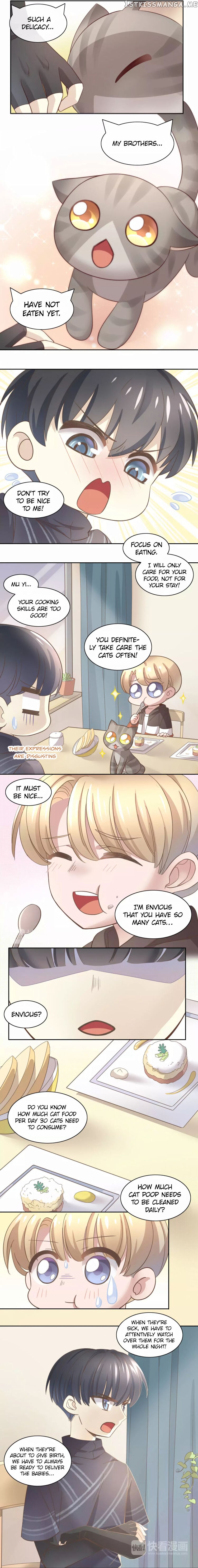 Under The Paws of Cats chapter 24 - page 9