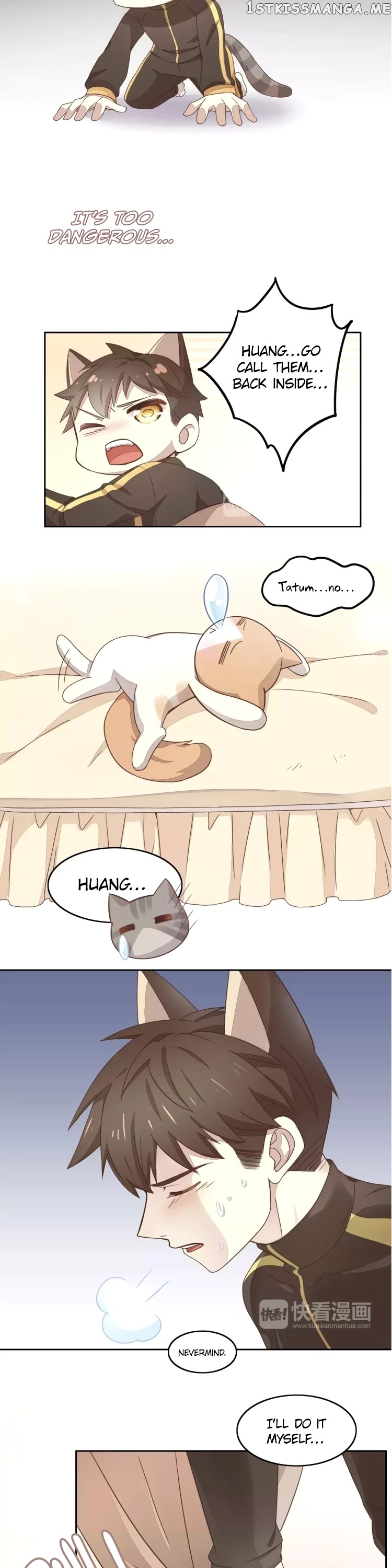 Under The Paws of Cats chapter 19 - page 13