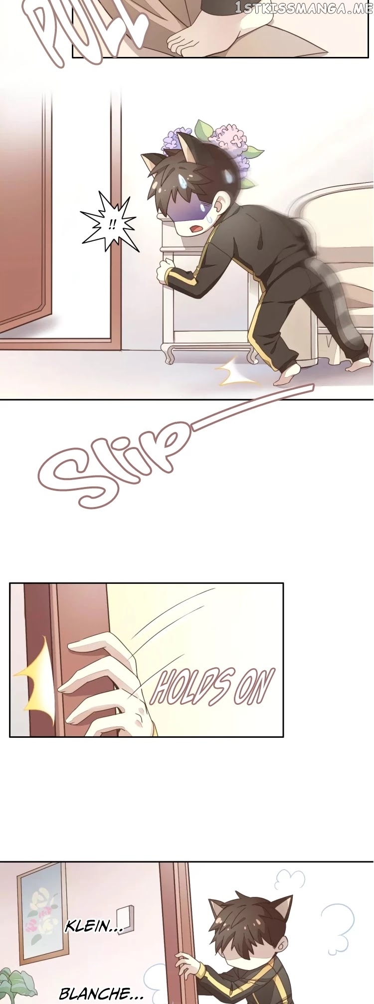 Under The Paws of Cats chapter 19 - page 14