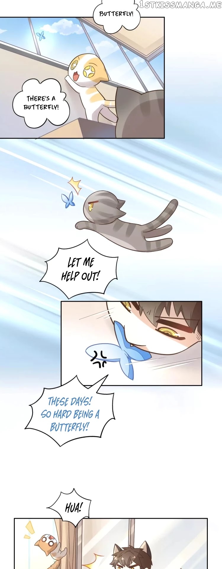 Under The Paws of Cats chapter 19 - page 2