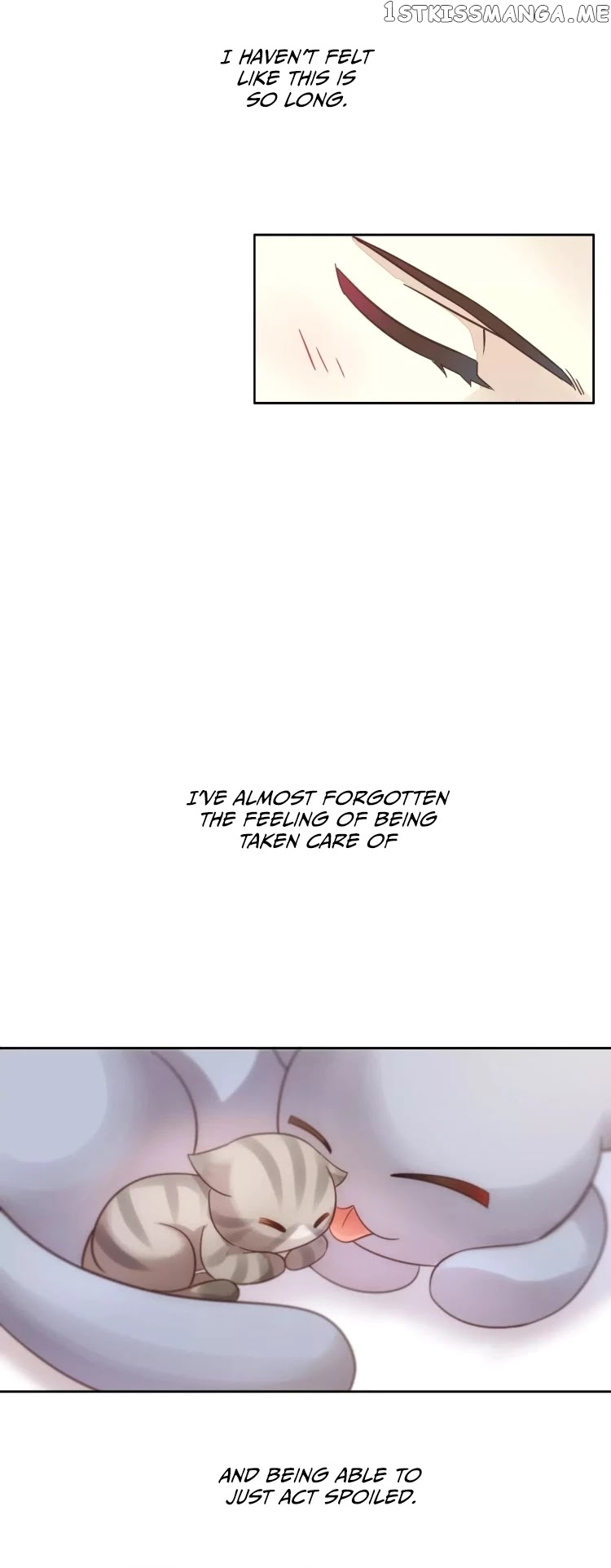 Under The Paws of Cats chapter 19 - page 24