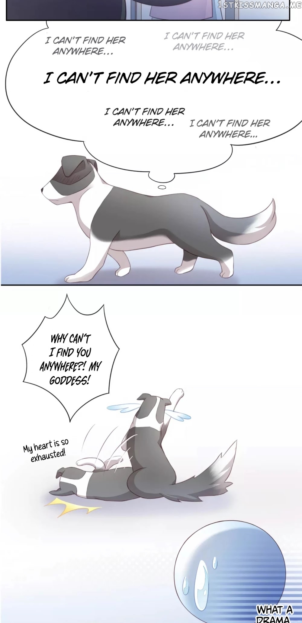Under The Paws of Cats chapter 17 - page 11