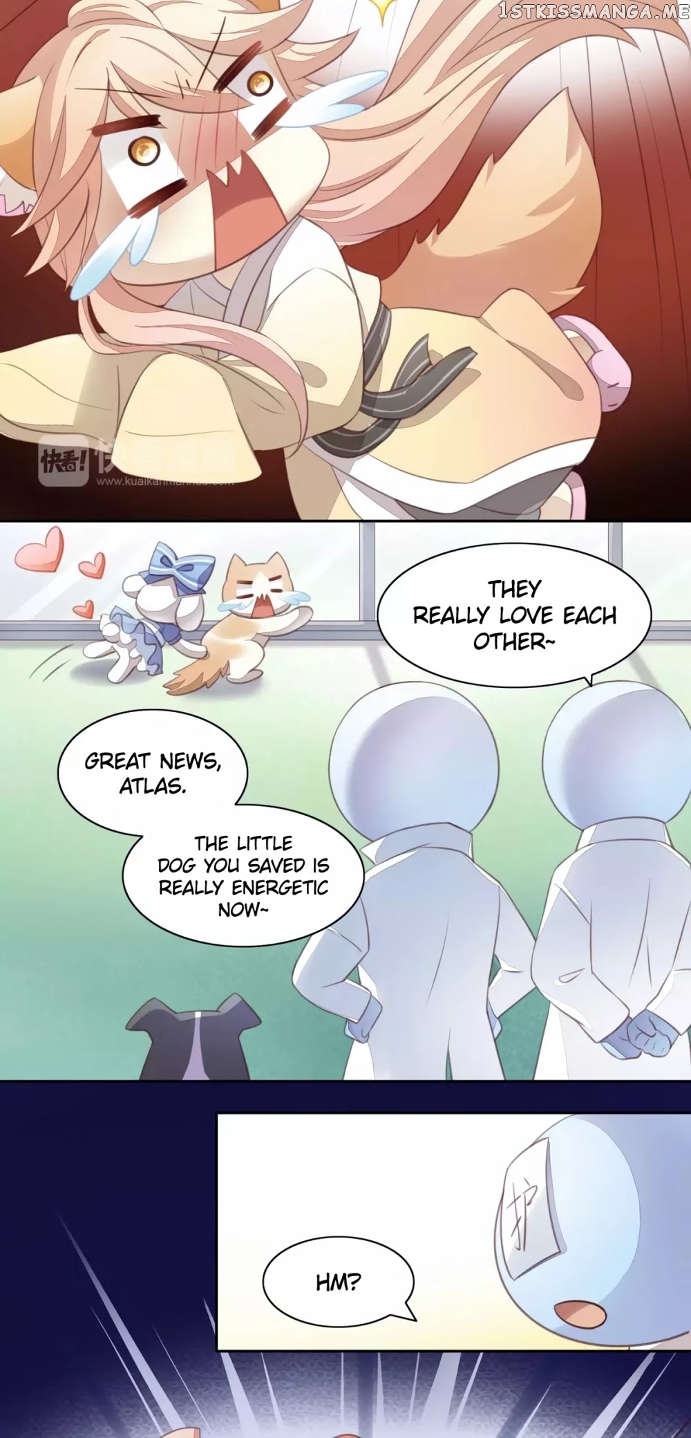 Under The Paws of Cats chapter 17 - page 29