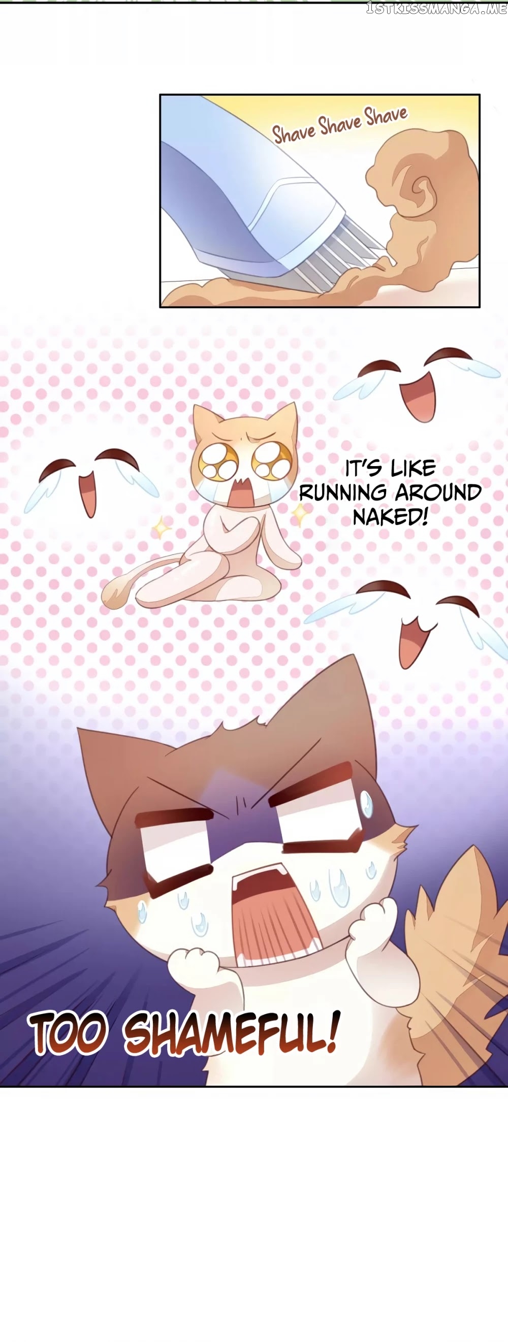 Under The Paws of Cats chapter 16 - page 17