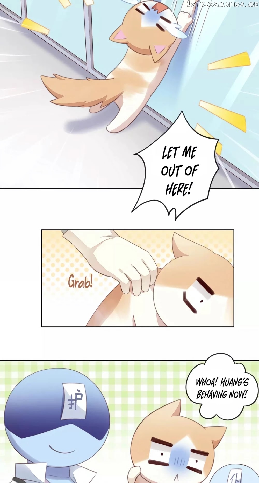 Under The Paws of Cats chapter 16 - page 22