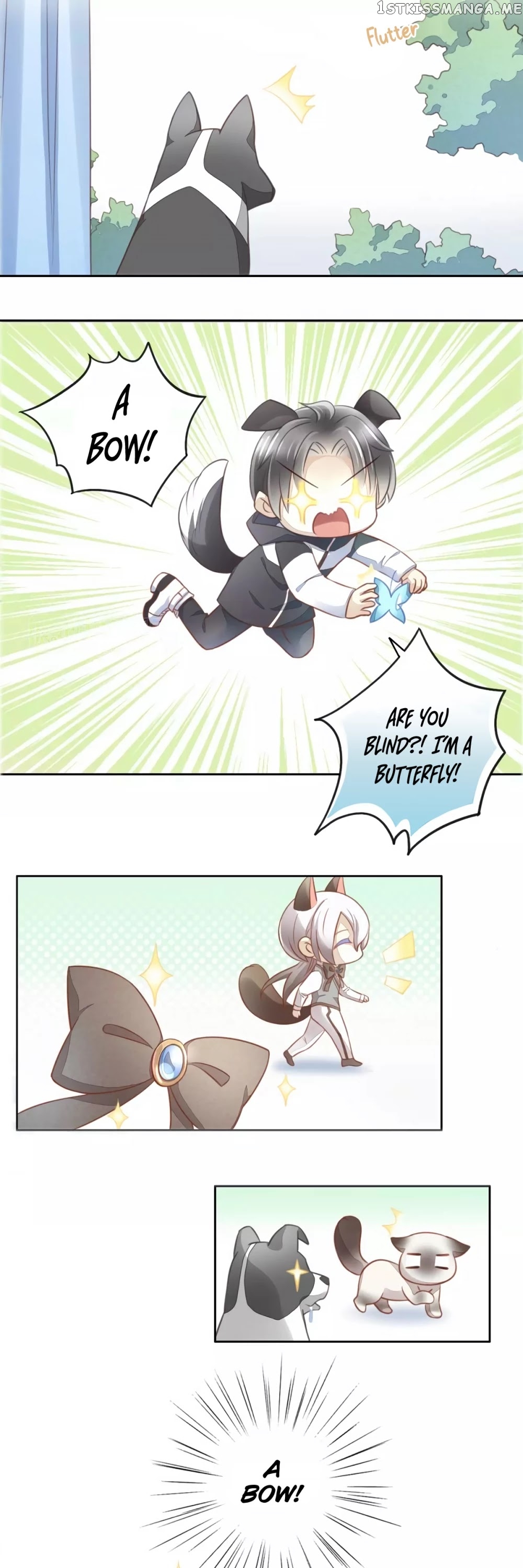 Under The Paws of Cats chapter 16 - page 5