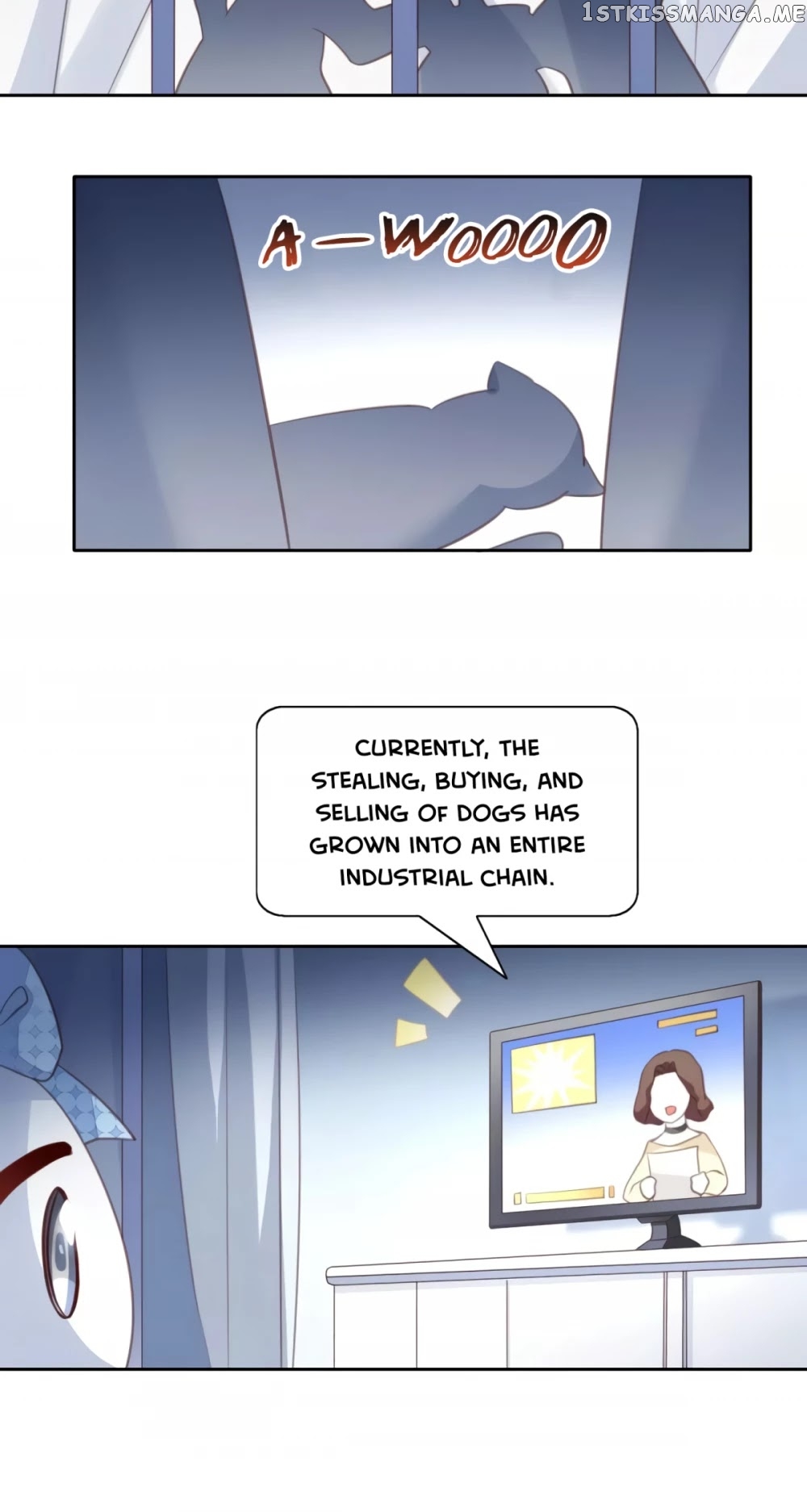 Under The Paws of Cats chapter 14 - page 18