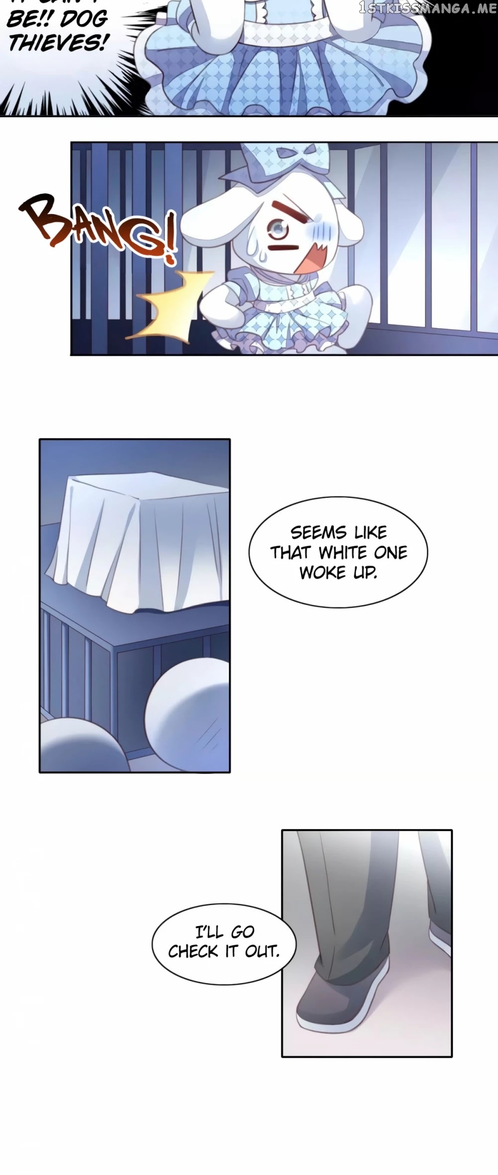Under The Paws of Cats chapter 14 - page 20