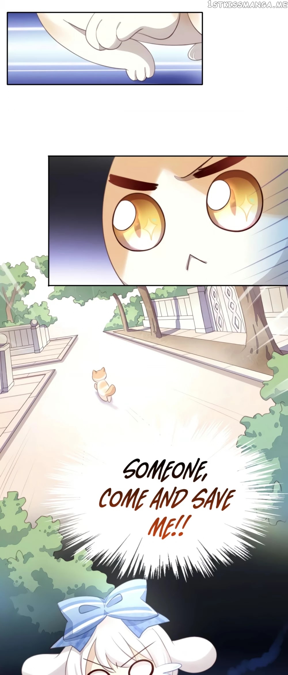 Under The Paws of Cats chapter 14 - page 23