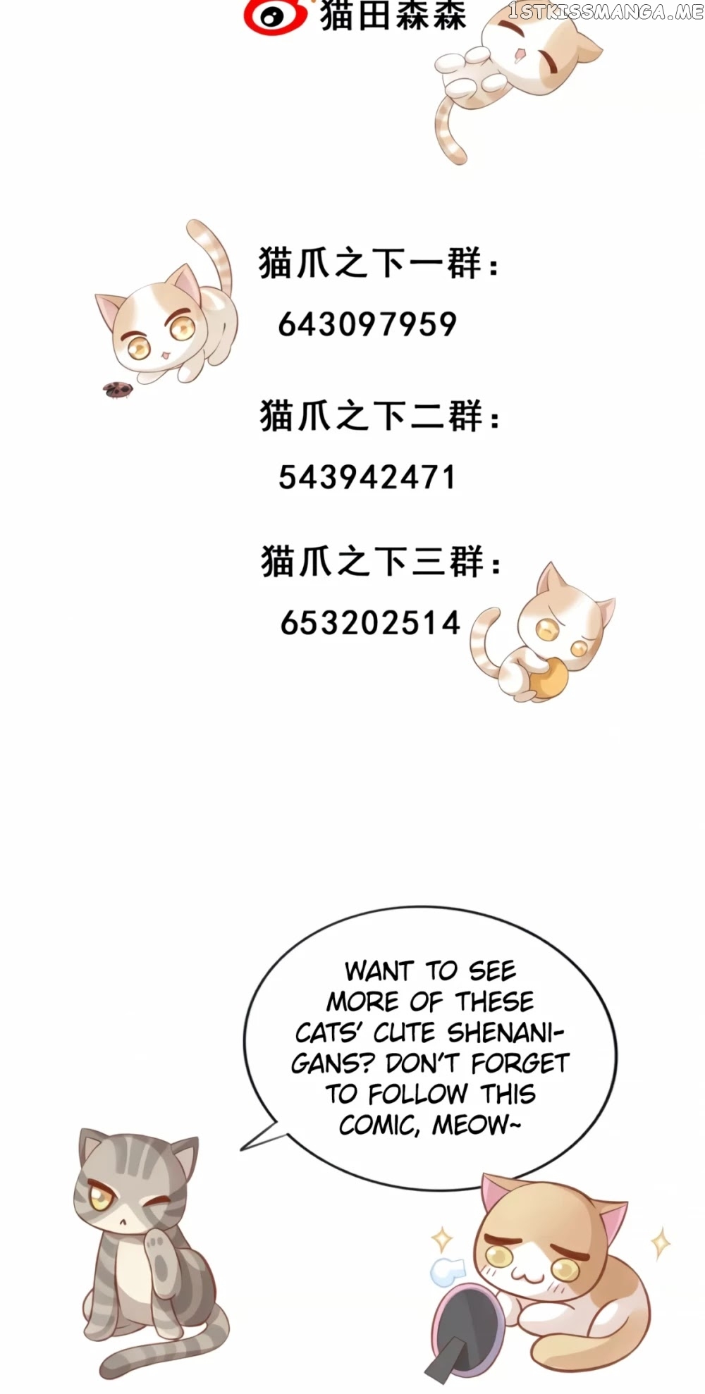 Under The Paws of Cats chapter 14 - page 29