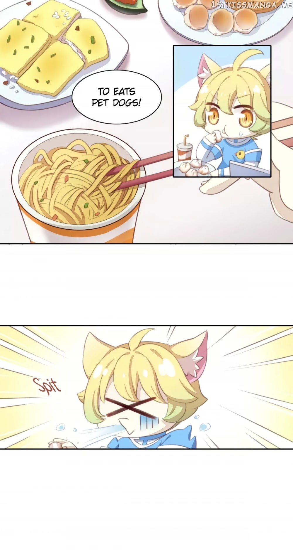 Under The Paws of Cats chapter 14 - page 3