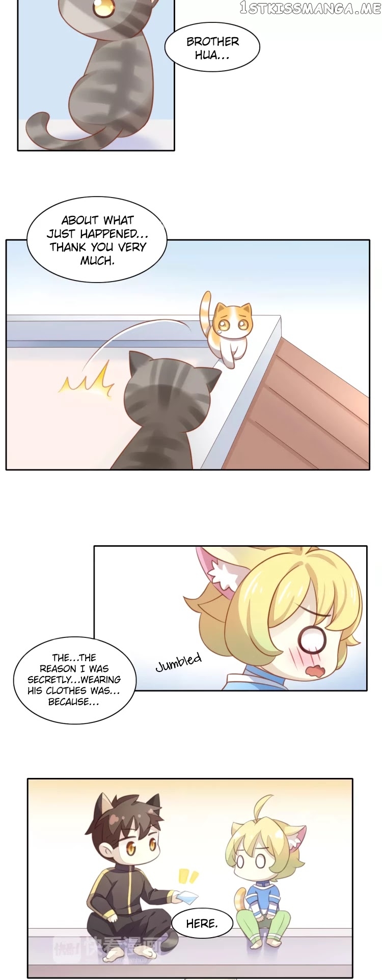 Under The Paws of Cats Chapter 11 - page 14