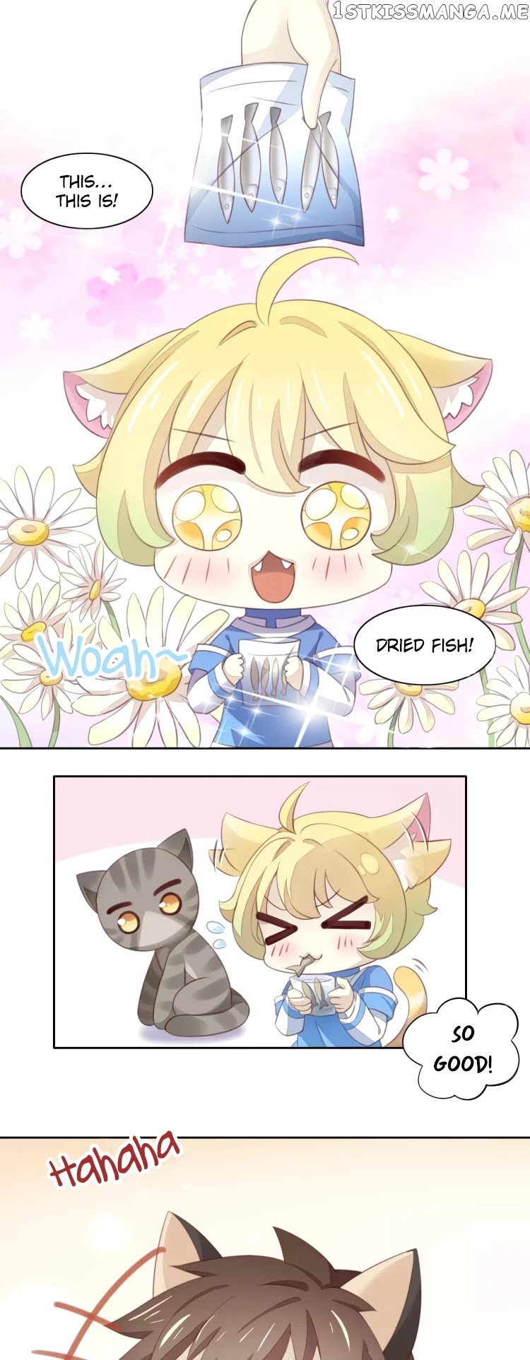 Under The Paws of Cats Chapter 11 - page 15