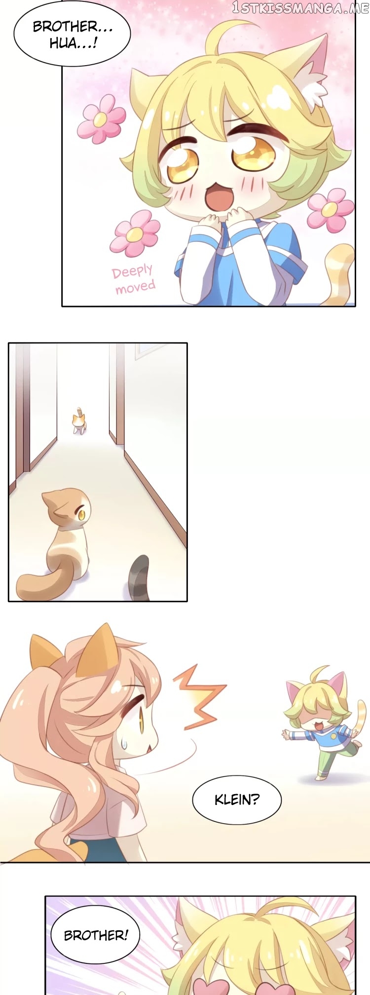 Under The Paws of Cats Chapter 11 - page 18